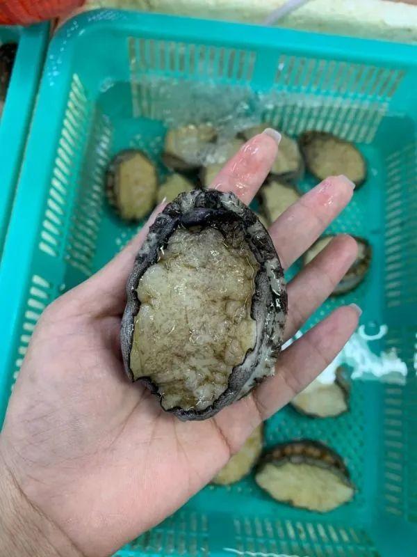 珠海批发市场合集！会过日子的人都是这样省钱的-32.jpg