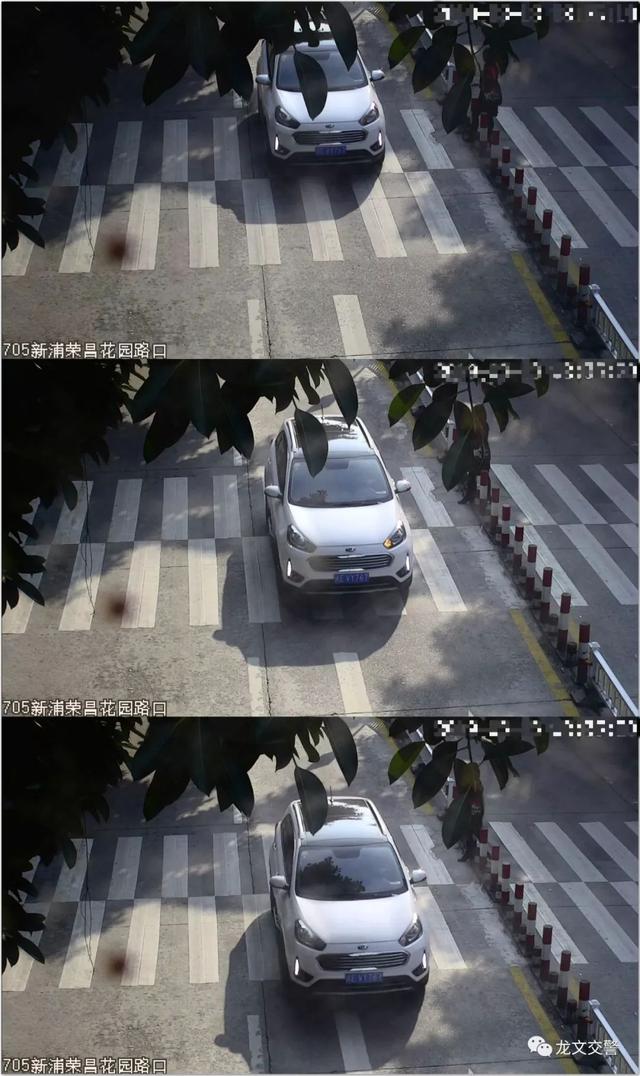 龙文区这些车未礼让斑马线被曝光啦！-7.jpg