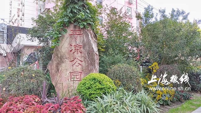 魔都100：喝茶、逗鸟……来这个公园欣赏现实中的“紫藤萝瀑布”-1.jpg