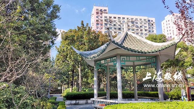 魔都100：喝茶、逗鸟……来这个公园欣赏现实中的“紫藤萝瀑布”-7.jpg