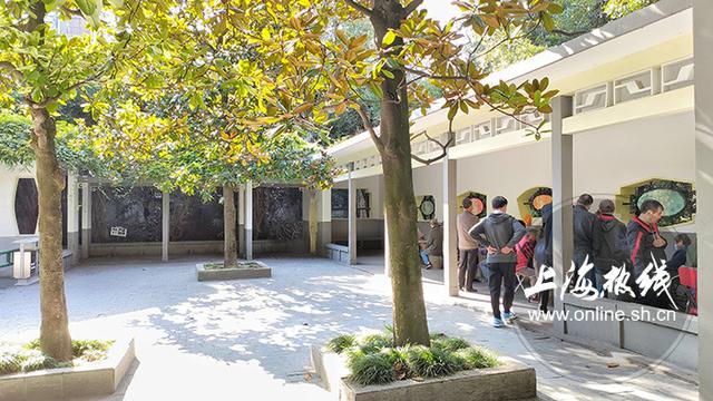 魔都100：喝茶、逗鸟……来这个公园欣赏现实中的“紫藤萝瀑布”-11.jpg