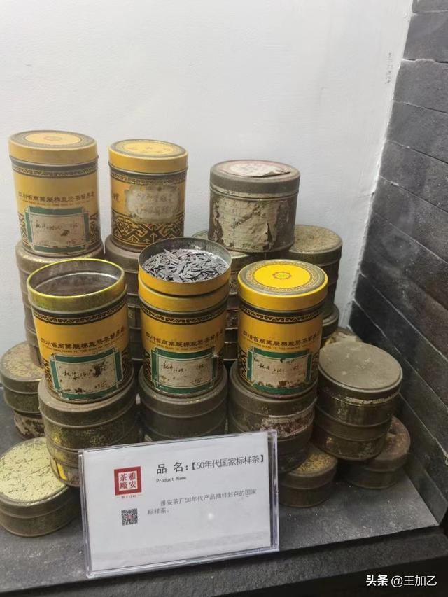 逃离上海极端高温——雅安品茶-1.jpg