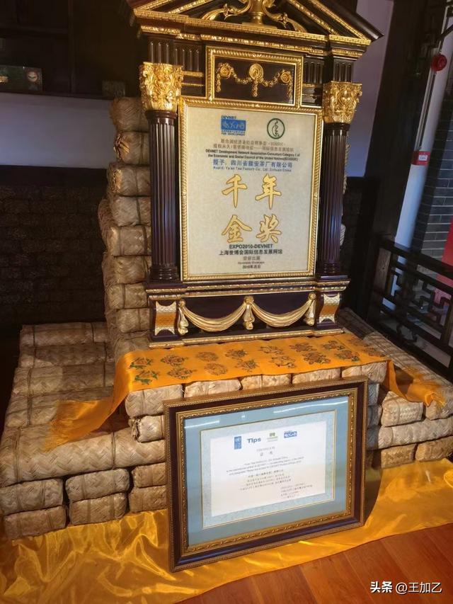 逃离上海极端高温——雅安品茶-2.jpg