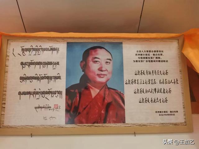 逃离上海极端高温——雅安品茶-5.jpg