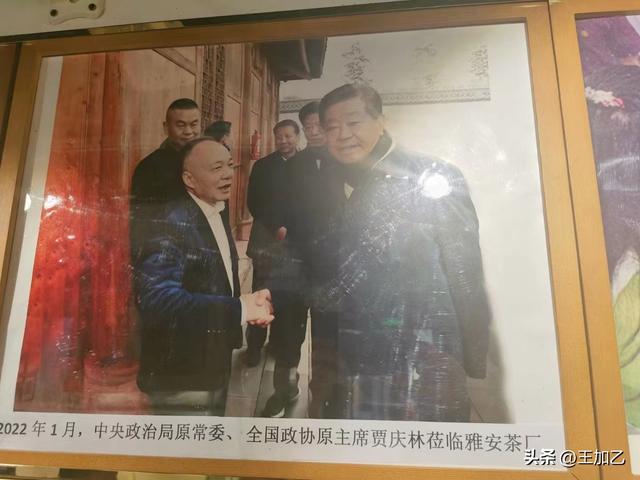 逃离上海极端高温——雅安品茶-3.jpg