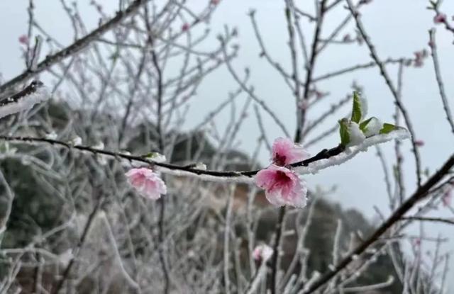 漳州多地下雪了！寒潮来袭，出行需要这么做！-9.jpg