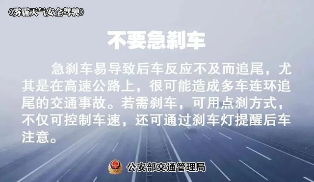 湿度100%，太“南”了！漳州雨雾天能见度低！行车须注意……-17.jpg
