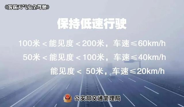 湿度100%，太“南”了！漳州雨雾天能见度低！行车须注意……-13.jpg