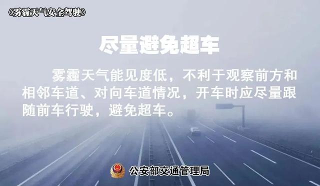 湿度100%，太“南”了！漳州雨雾天能见度低！行车须注意……-16.jpg