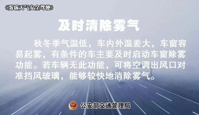 湿度100%，太“南”了！漳州雨雾天能见度低！行车须注意……-19.jpg